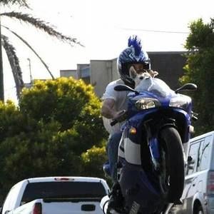 Meet your Posher, Tom